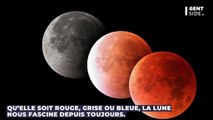 Tout ce qu’il faut savoir sur la super lune des fleurs du 16 mai