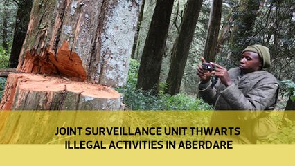 Joint surveillance unit thwarts illegal activities in Aberdare