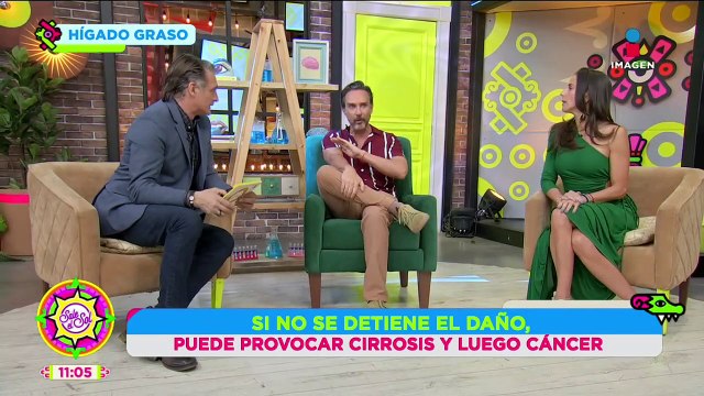 Hígado Graso: Causas, síntomas, tratamiento y más