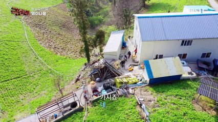 극한직업 - Extreme JOB_울릉도의 봄, 명이나물과 독도새우_#001