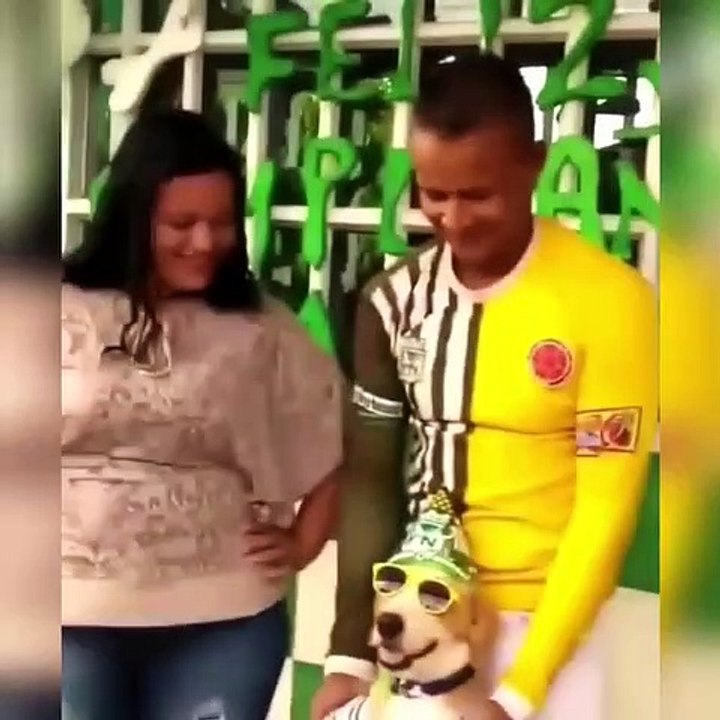 Le celebran el cumpleaños a este perrito de una manera muy peculiar