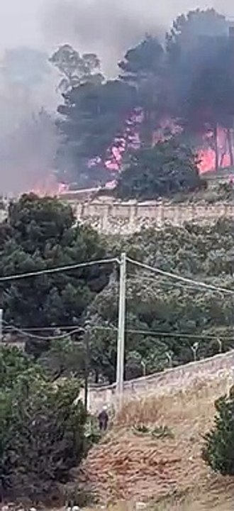 Lo scirocco scatena un vasto incendio ad Erice, evacuate alcune case