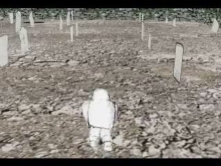 D'ecorce et de moëlle animatique