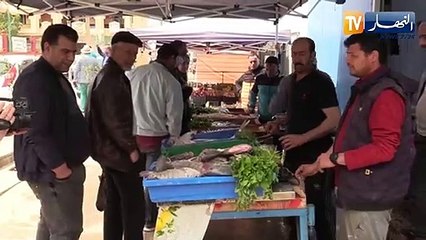 عين الدفلى تربية سمك التيلابيا..إستثمار غير مكلف بفوائد كبيرة للسوق و الفلاحة