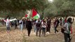 هتفوا للحرية.. الفلسطينيون داخل الخط الأخضر يشاركون في مسيرة العودة