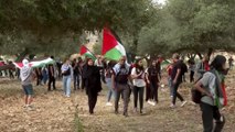 هتفوا للحرية.. الفلسطينيون داخل الخط الأخضر يشاركون في مسيرة العودة