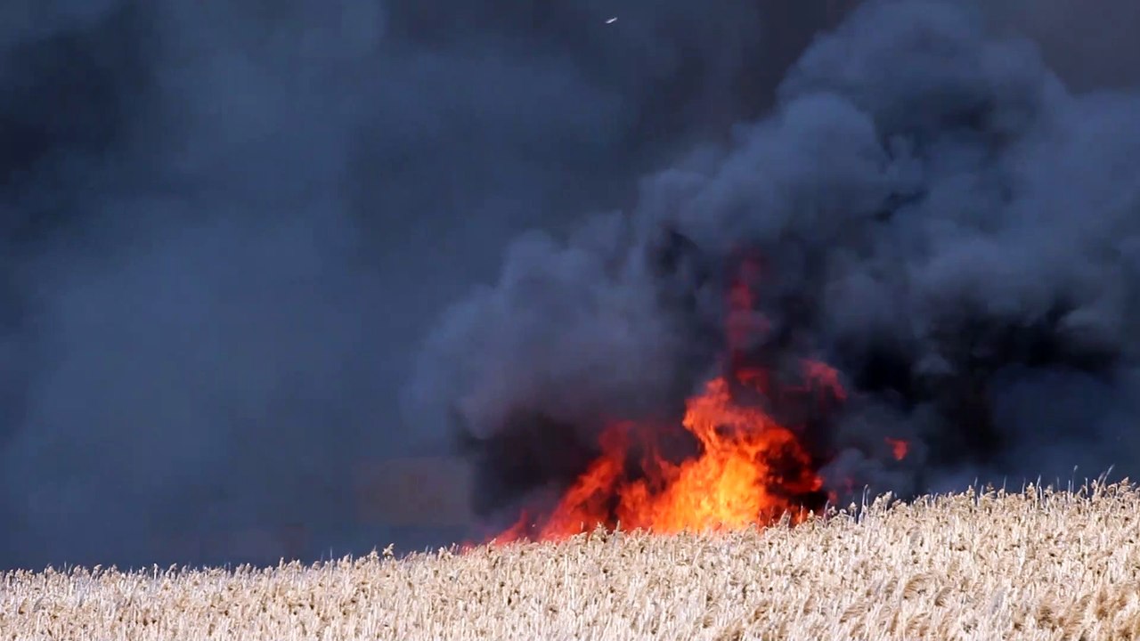 Feu de broussailles parc industriel