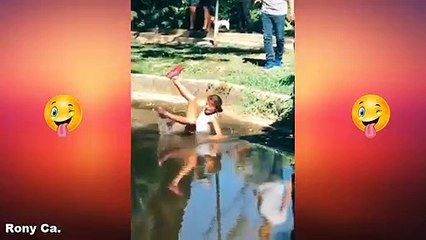 Videos De Risa 2020 nuevos  Videos Graciosos - Momentos de travesura NUMERO 20