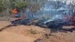 Integrantes do MST acusam fazendeiros de atearem fogo na ocupação Ana Primavesi
