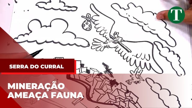 MINERAÇÃO na SERRA DO CURRAL é AMEAÇA para 526 espécies de ANIMAIS