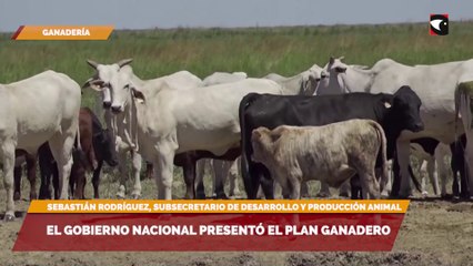 El gobierno nacional presentó el plan ganadero
