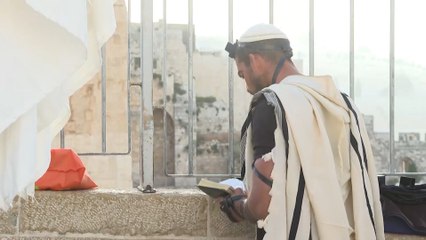 إصابة 12 فلسطينيا واعتقال 50 شابا نتيجة اعتداءات قوات الاحتلال