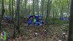 Autonomous drones fly through Chinese bamboo forest