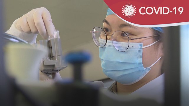 COVID-19 | Pandemik masih jauh daripada berakhir - EMA