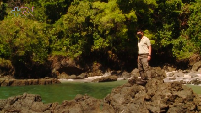 mqn-480 guardaparques protegen 162 áreas silvestres en Costa Rica-050522