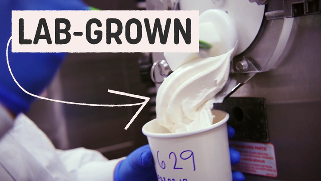 How scientists make real dairy with no cows