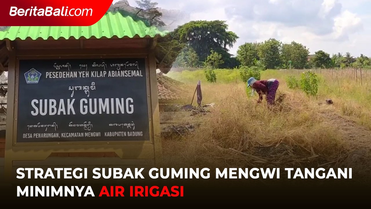 Strategi Subak Guming Mengwi Tangani Minimnya Air Irigasi
