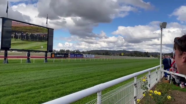 Wagga Gold Cup 2022: Circularity takes out Race 1 | May 6 2022 | The Daily Advertiser