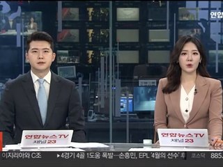 화력발전 부두 들이받은 운반선 선장 검거…100억대 피해