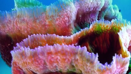 Sorties : Océan, une expo immersive à la halle AP2 - 06 Mai 2022