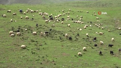 Göçerlerin zorlu yolculuğu başladı