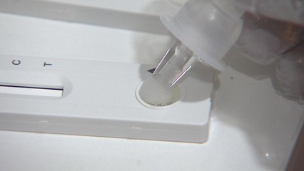 정부 "신속항원검사 확진 인정 재연장 방향으로 검토" / YTN