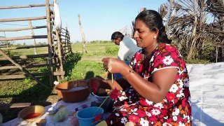 Village Mattu Pongal | Patti பொங்கல் | Sri Lanka | Rj Chandru Vlogs