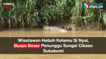 Wisatawan Heboh Ketemu Si Nyai, Buaya Besar Penunggu Sungai Cikaso Sukabumi