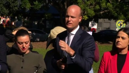 Labor confirms plans to end live sheep exports if elected
