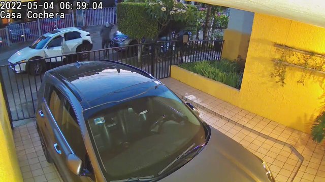 Sujetos armados despojan a una persona de su camioneta, en la colonia Pinar de la Calma