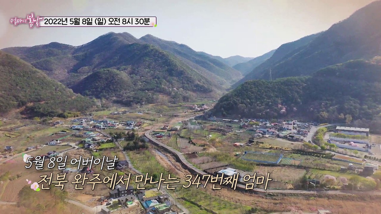 백만 불짜리 우리 아들_엄마의 봄날 347회 예고 TV CHOSUN 220508 방송