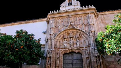 Experiencia National:  Visita nocturna a la Mezquita- Catedral de Córdoba
