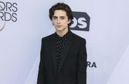 Pandemia cancela estreia de Timothée Chalamet nos palcos de Londres