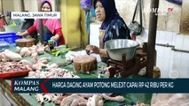 Lebaran, Harga Daging Ayam di Malang Tembus Rp 42 Ribu Per Kilogram