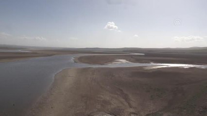 Orta Kızılırmak Vadisi'nde yüksek verimli 25 kuru fasulye çeşidi adayı belirlendi