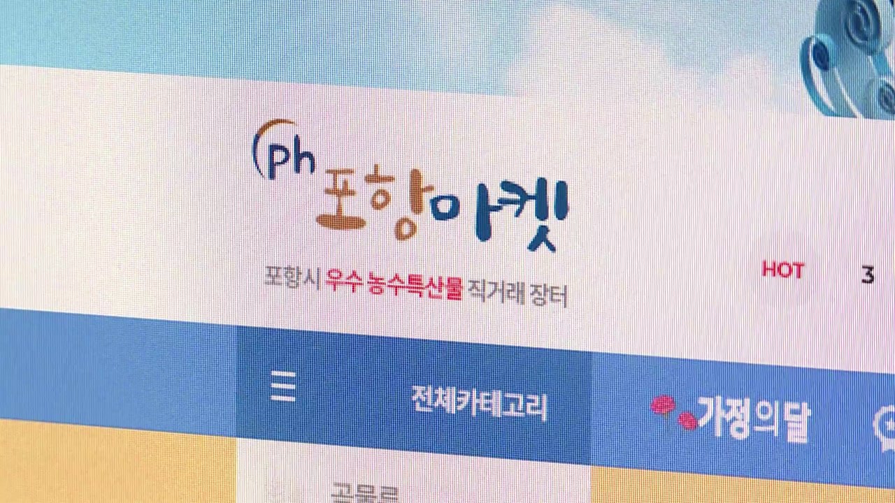 [경북] 경북 포항시, 농특산물 쇼핑몰 30∼35% 할인 / YTN