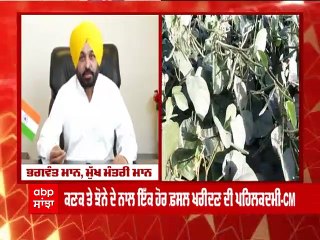 CM Mann ਦੇ ਮੂੰਗੀ 'ਤੇ MSP ਦੇ ਐਲਾਨ ਤੋਂ ਬਾਅਦ ਕਿਸਾਨਾਂ ਦੀ ਮੰਗ, ਸਾਰੀਆਂ ਫ਼ਸਲਾਂ 'ਤੇ ਮਿਲੇ MSP