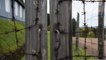 Histoire : l'histoire du camp du Struthof implanté en 1941 par les nazis en Alsace