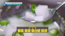 체중 감량 돕는 특급 활용법 [모유 유래 유산균 피클]