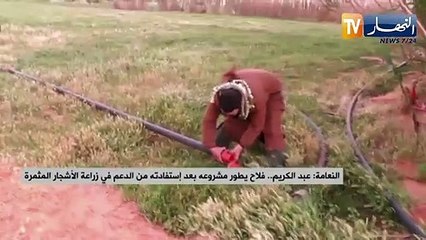 النعامة : عبد الكريم..فلاح يطور مشروعه بعد إستفادته من الدعم في زراعة الاشجار