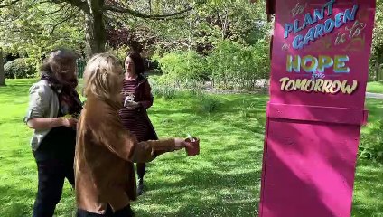 LITTLE VEG LIBRARIES: Follow-up interview with Season Well to discuss the Feed Leeds initiative