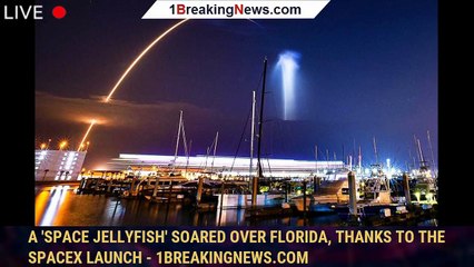 A 'space jellyfish' soared over Florida, thanks to the SpaceX launch - 1BREAKINGNEWS.COM