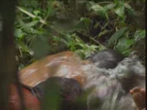 Poturu, peuple de la lune