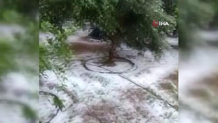 Mersin'de dolu bin 573 dekar alanda zarara yol açtı