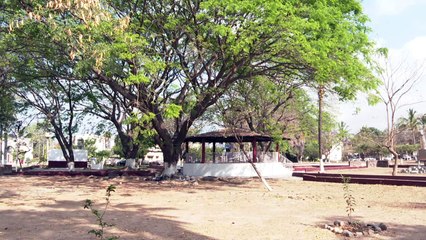 Indigente del parque Aralias | CPS Noticias Puerto Vallarta