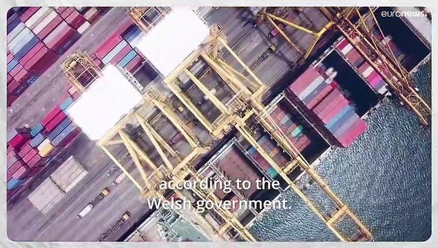 Good News: A high school for sloths, roads paved with nappies in Wales and Nigeria’s Spider-Man