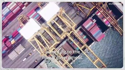 Good News: A high school for sloths, roads paved with nappies in Wales and Nigeria’s Spider-Man