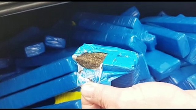 Com veículo furtado, jovem é detido pela PRF com 247 kg de maconha