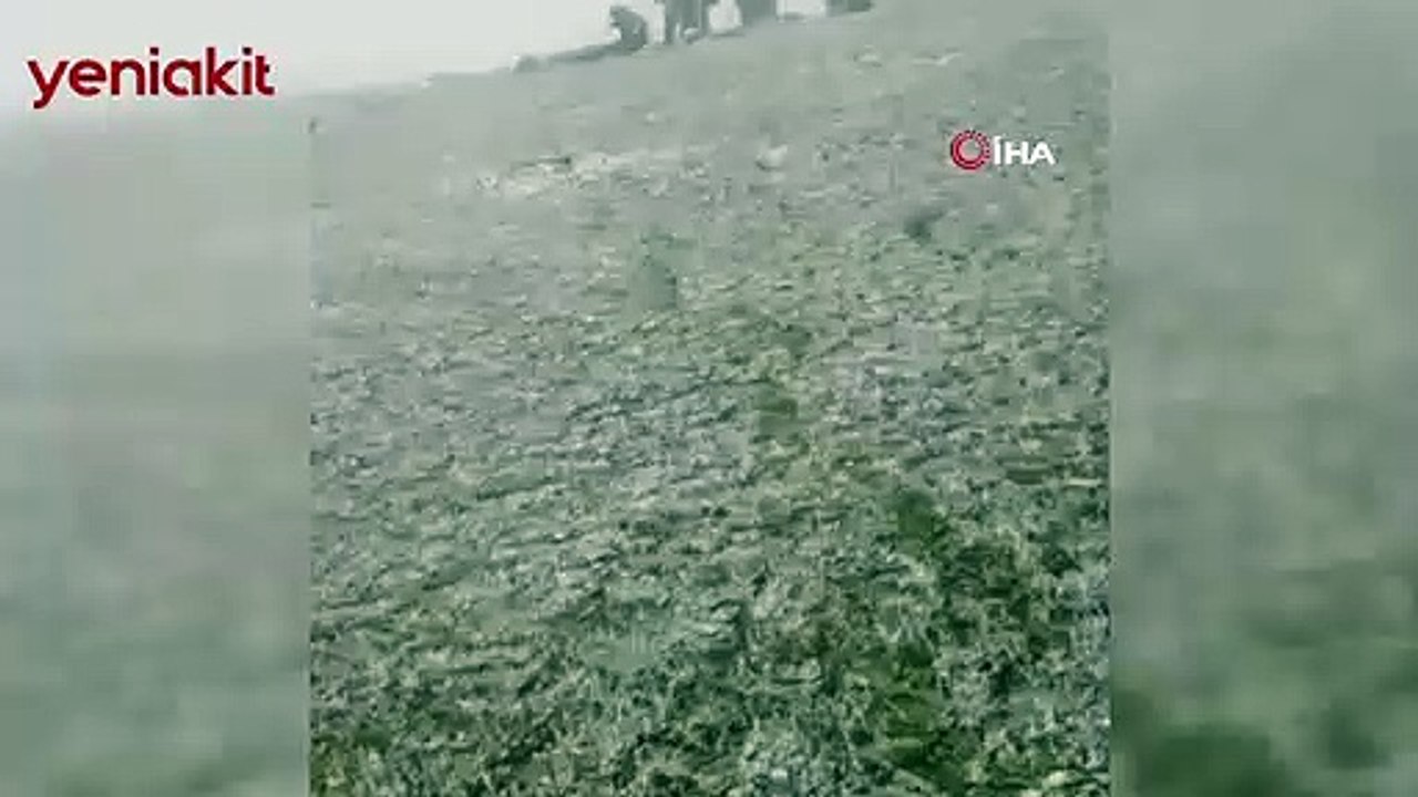 Dağa pancar toplamaya giden köylüler tipiye yakalandı