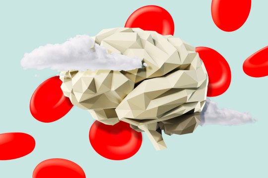 New Research Finds Good Cholesterol Might Decrease Risk of Alzheimer's Disease—Here Are 5